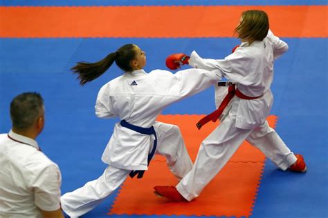 Image result for Karate Framework Java