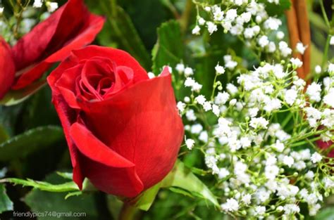 Image result for SQL Cast Date Examples