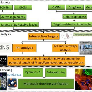 Image result for Molecular Docking Tutorial