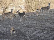 Archery season is here!