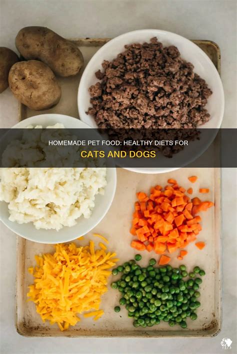 Homemade Pet Food: Healthy Diets For Cats And Dogs | PetShun