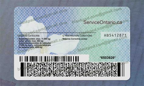 Acceptable Forms Of Id Ontario at Ronald Lockett blog
