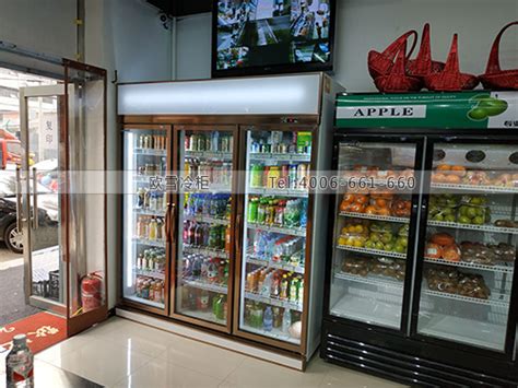 A025北京市东城区优惠多生活超市双门饮料柜-【欧雪冷柜】