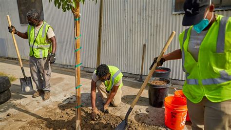 Image result for Miami Heat Tree-Planting Project
