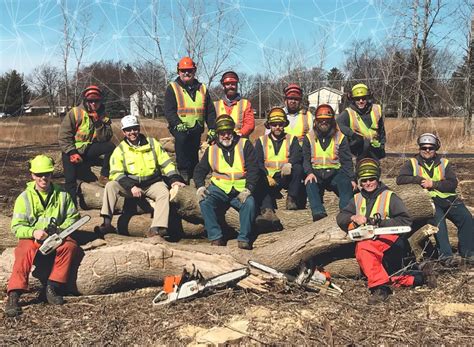 Image result for Tree Jack Software