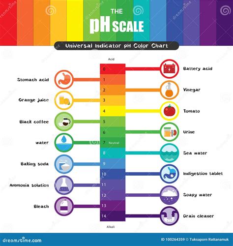 Image result for pH Values Chart