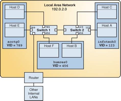 VLAN: What is it and How it Work? |FiberMall