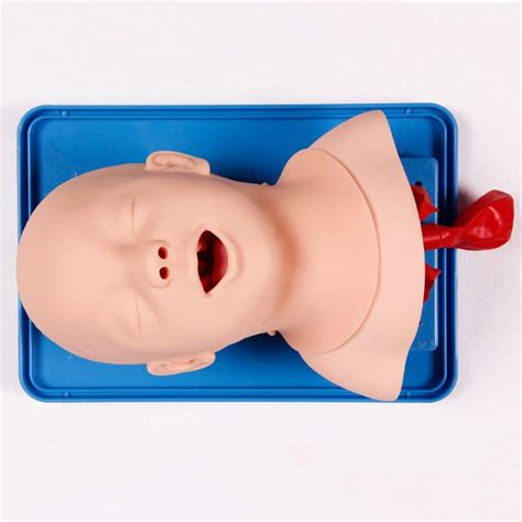 The Model Intubationspuppe Tracheal Intubation Training Simulator ...