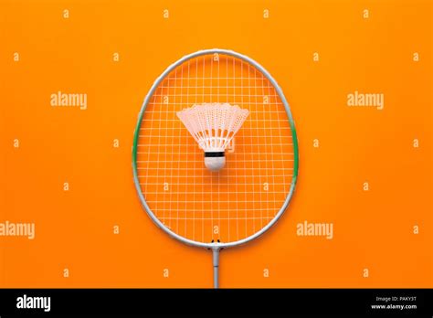 Badminton Racket and Shuttle 的图像结果