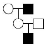 Observe the following pedigree. Which of these disease could it represent?