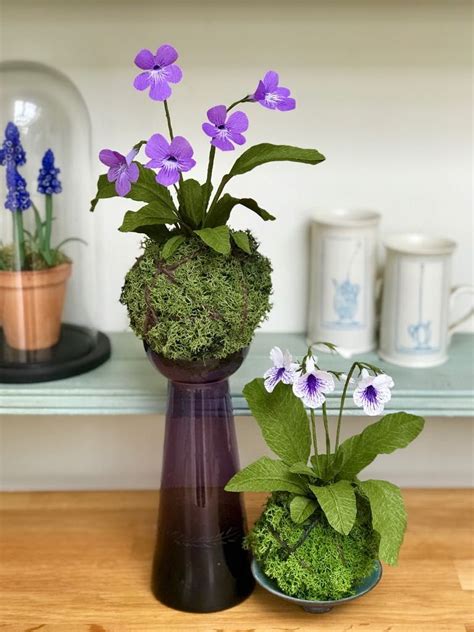 Image result for Paper Violet Tutorial