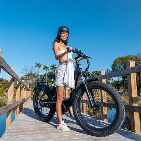 Heybike Explore Electric Bike for Adults 48V 20AH Removable Massive ...