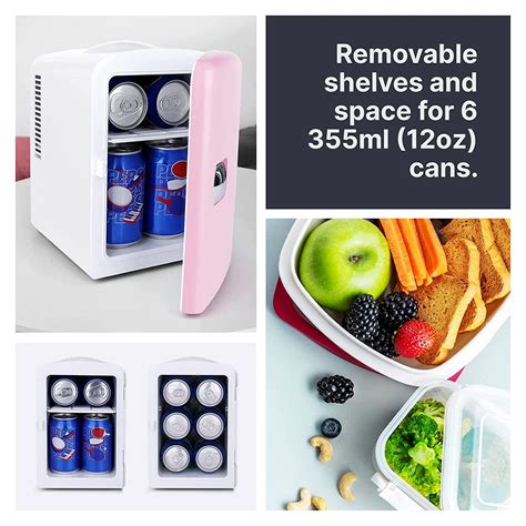 Buy Living Enrichment Mini Fridge Chilling and Warming, AC/DC Power ...