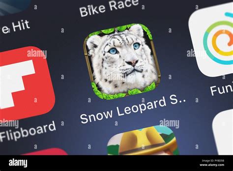 Snow Leopard Simulator 的图像结果