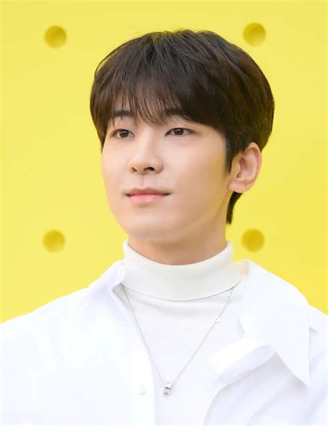 SEVENTEEN Members Profile: Names, Ages, Birthdays, And Heights