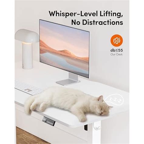 FEZIBO Electric Standing Desk Adjustable Height, 40 India | Ubuy