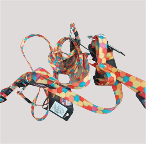 PETSPOT MULTI COLOUR LEASH