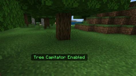 Image result for Minecraft How to Install Timber Mod