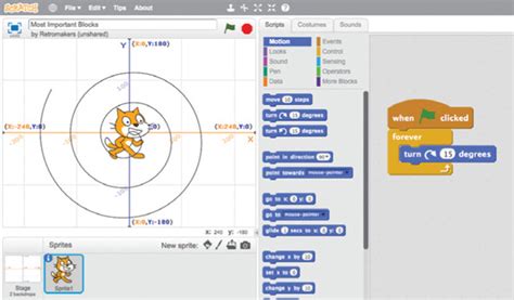 Image result for What Is the Python Code for Scratch Forever Function