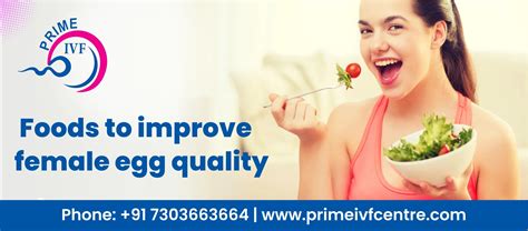 Foods to Improve Female Egg Quality