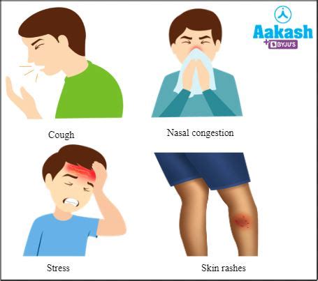 Cockroaches: Classification, Common Examples, Morphology, Habitat ...