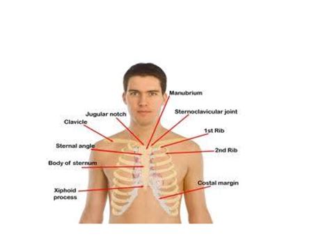 Angle Of Louis Meditech Group:China Medical Equipment Manufacturer