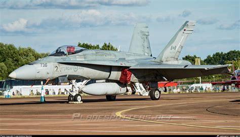 188736 Royal Canadian Air Force McDonnell Douglas F/A-18A Hornet Photo ...