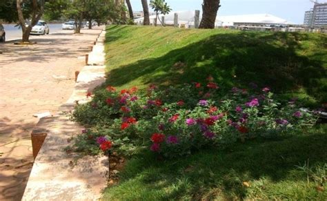 Landscaping & Beautification | Mumbai Metropolitan Region Development ...