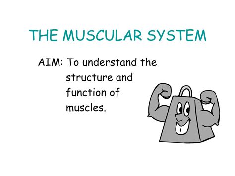 Image result for Muscular System Lecture Video