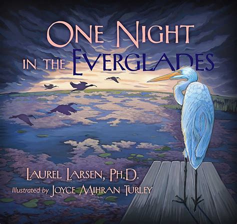 One Night in the Everglades eBook by Laurel Larsen, Joyce Mihran Turley ...