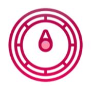 NEX Hub Stand Upright Script 2022 的图像结果