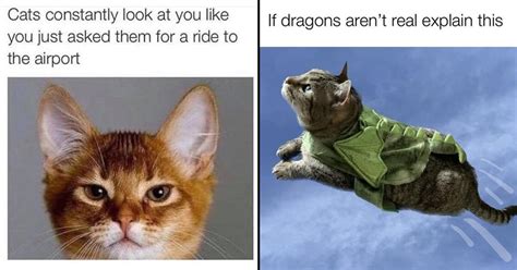 Image result for Fixed and Dynamic Array Example