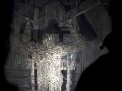 Ritual 的图像结果