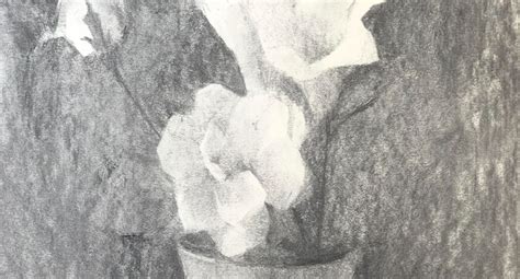 How to Draw Flowers that Stand Out From the Crowd - Art Studio Life