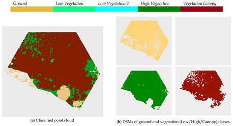 Automatic Classification of Submerged Macrophytes at Lake Constance ...