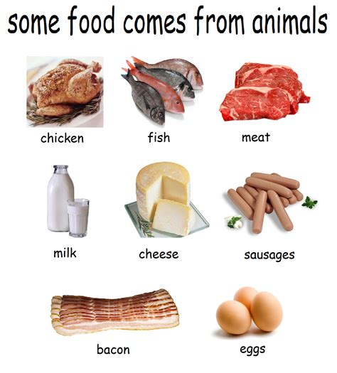 Food From Animals