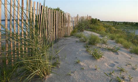 Apartments in Oceana Gardens Virginia Beach, VA | Piper's Landing ...