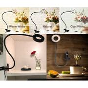 Display Collection – Sevyn Colors