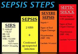 Image result for Sepsis vs Septicemia