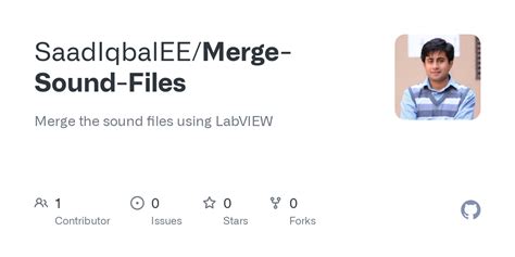 Image result for Merge Sort Sound