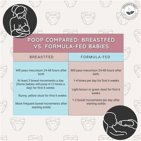 Breastfed Baby Poop Chart