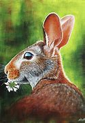 Image result for Easy Acrylic Painting Rabbit