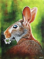 Image result for Black and White Rabbit Painting