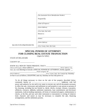 Special or Limited Power of Attorney for Real Estate Sales Transaction ...