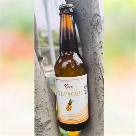 Tepache – Indian Kefir Company