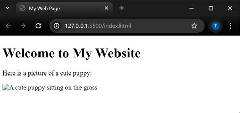 HTML Sample Images 的图像结果