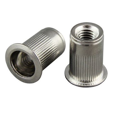 Stainless Steel Big Head Rivet Nut In Sri Lanka, Best Stainless Steel ...