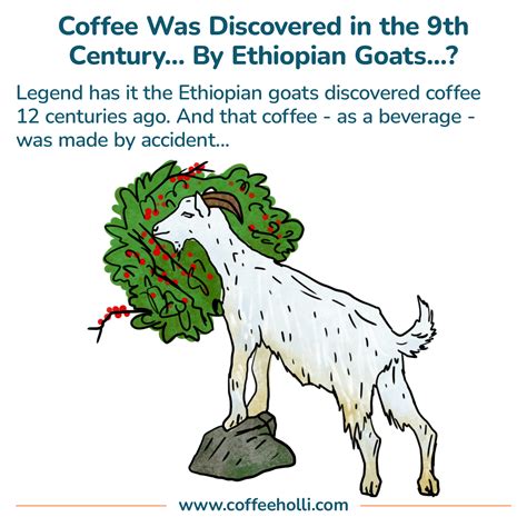 20 Interesting Facts About Coffee That'll Blow Your Mind - CoffeeHolli.com