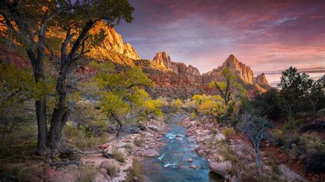 Bing HD Wallpaper Nov 19, 2022: Zion National Park turns 103 - Bing Wallpaper Gallery
