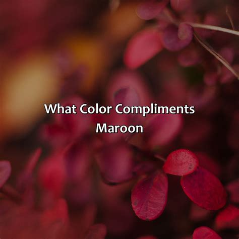 What Color Is Twilight - colorscombo.com